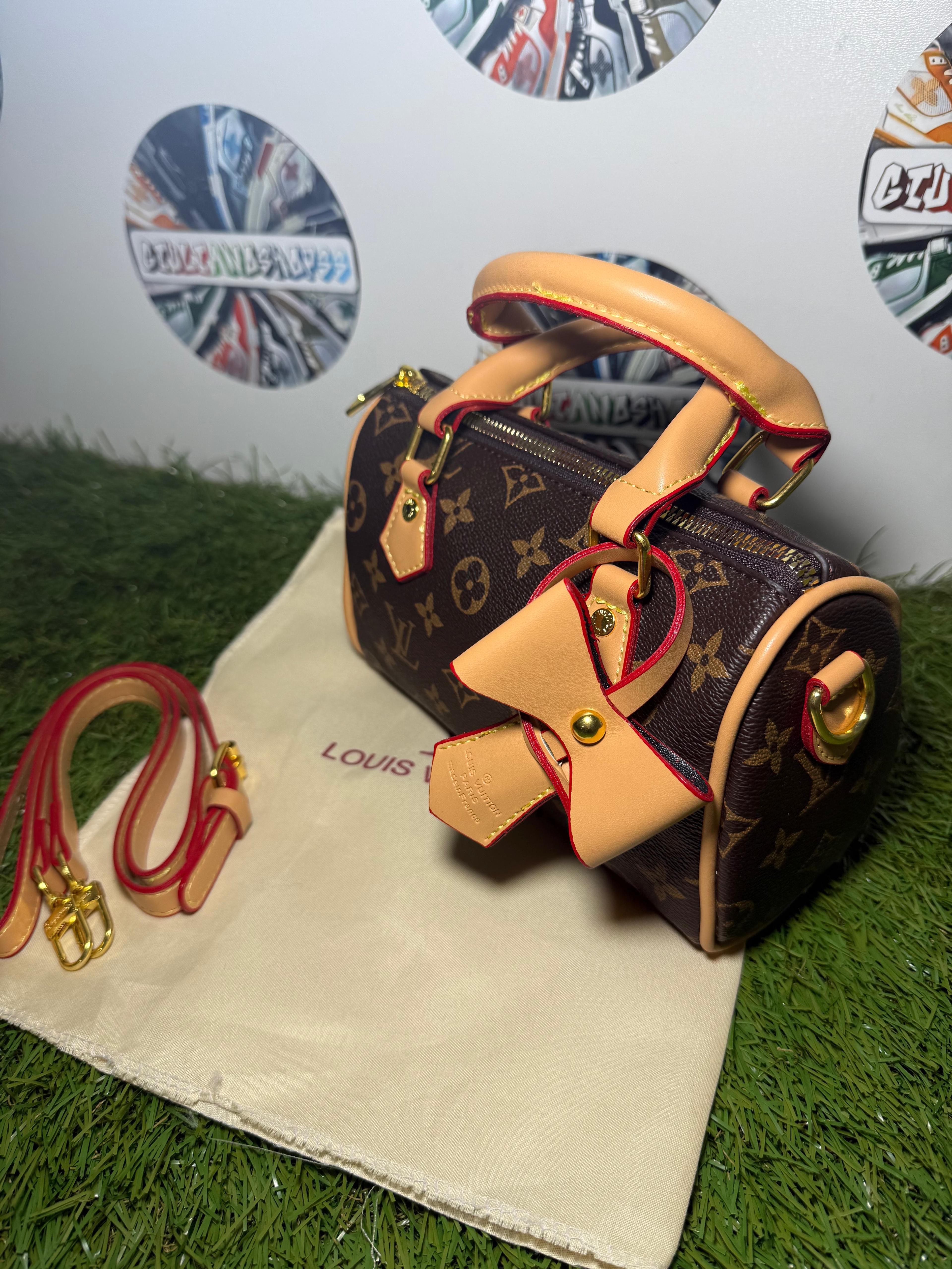 Louis Vuitton Speedy Nano Monogram