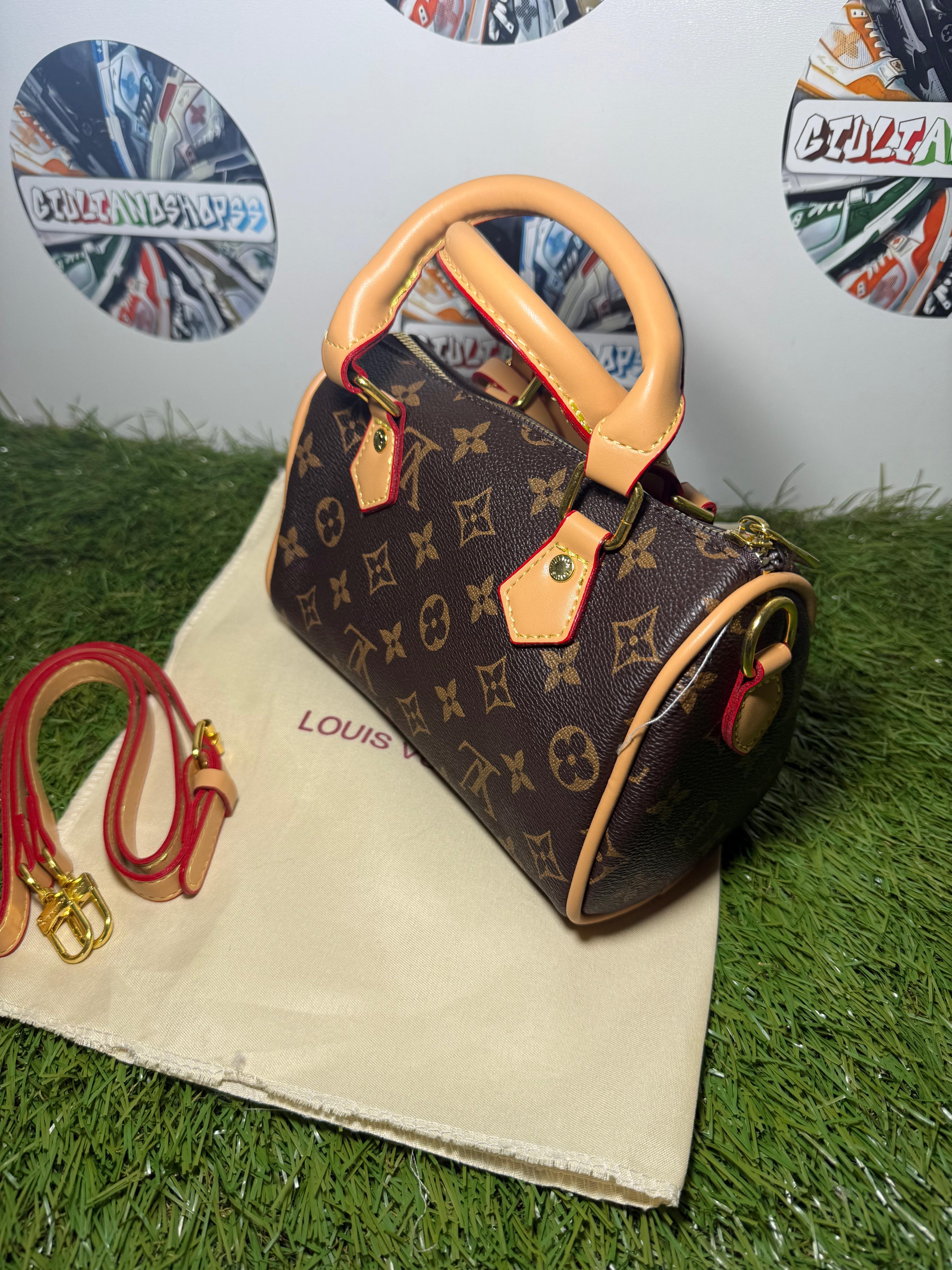 Louis Vuitton Speedy Nano Monogram